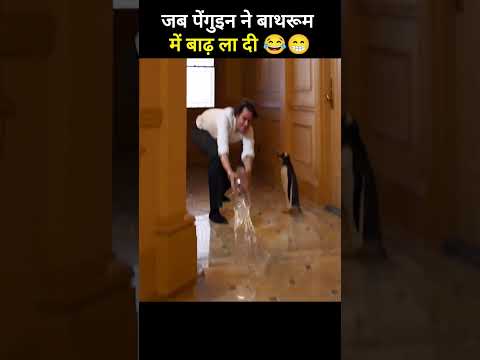 जब पेंगुइन ने बाथरूम में बाढ़ ला दी 😂 #shorts