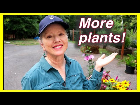 I returned from trip to THIS! With butterfly plants! - Part 1