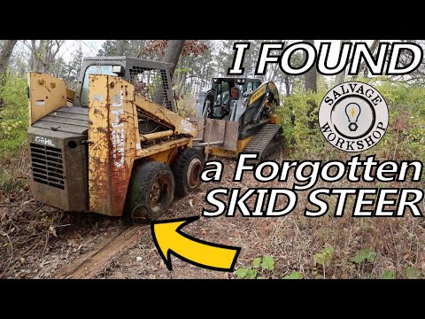 Rescuing a Skid Steer from Mother Nature's GRAVE ~ Forgotten for 12 Years ~ "Dirty Turkey" Part 1