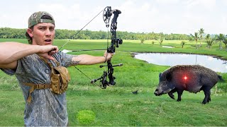 48 Hours Off-Grid Swamp Survival!! (BOW HUNTING WILD HOGS)