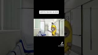 【猫ミーム】出す穴に物をぶちこむなっていってるでしょう？？ #vtuber #保護猫 #病院 #猫ミーム #猫のいる暮らし #大学病院 #ね