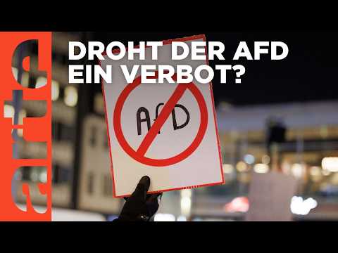 Wie realistisch ist ein AfD-Verbot? | ARTE Hintergrund