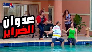 فيفي عبده اتفقت مع ضراته علي مرات حنفي اللبنانية شوف عملو فيها ايه😲😨