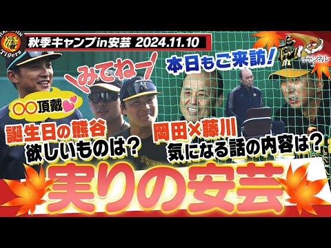 【11月10日秋季キャンプ】岡田彰布オーナー付き顧問が本日も来訪！岡田×藤川の気になる話の内容！誕生日の熊谷欲しい物は…「〇〇を頂戴！」阪神タイガース密着！応援番組「虎バン」ABCテレビ公式チャンネル