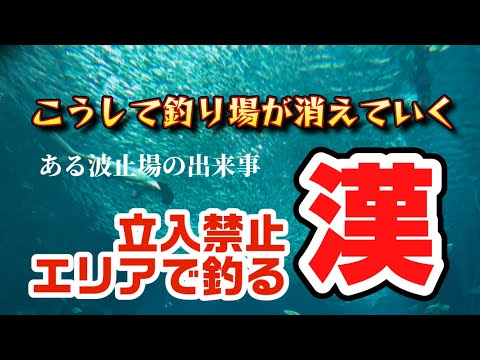 立入禁止で釣りをする漢「こうして釣り禁止が増える」