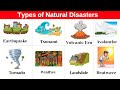 Natural Disasters Identification