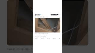 ゴキブリ退治する空条徐倫のモノマネ