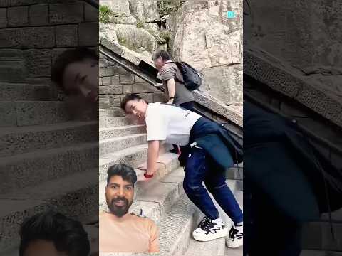 Big Pahad #funny #amazingfacts #facts #new #comedy #automobile #trending #pigeon