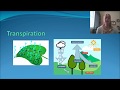 Understanding the Water Cycle Concepts