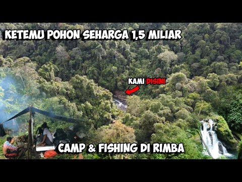 Petualangan Jauh Ke Dalam Hutan Berburu Ikan Sidat Sebesar Tiang Listrik Camp Fishing Adventure