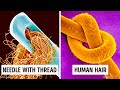 Discovering the Hidden World Under a Microscope