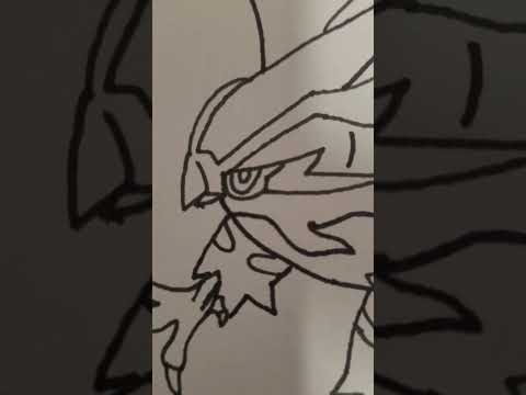 Nice #talonflame Megaevole