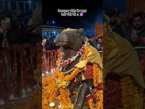 केदारनाथ मंदिर के बाहर वाले नंदी जी 🙏🕉️