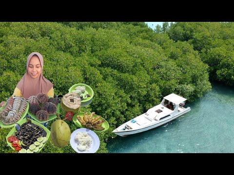CAMPING DIHUTAN BAKAU HUNTING UDANG MANTIS, CUMI2 & MASAK DIATAS PERAHU