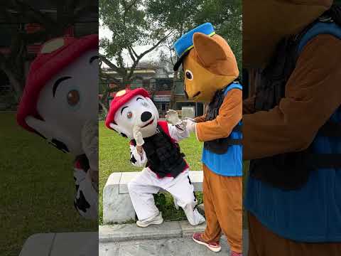 Chase Sacrificed Himself To Protect His Younger Brother #shorts #brother #pawpatrol