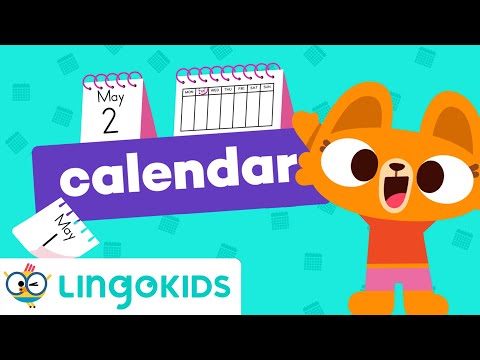 Learn About the Calendar 🗓️ | VOCABULARY FOR KIDS | Lingokids