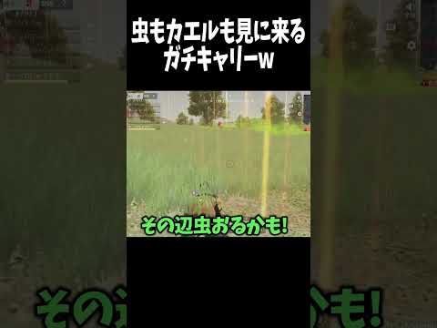 虫と蛙の応援団を背にガチキャリーする元プロゲーマーw【荒野行動】