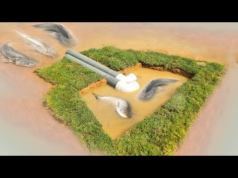 Amazing Fish Trap In The Deep Hole - Making an Underground Fish Trap System Using PVC Pipe