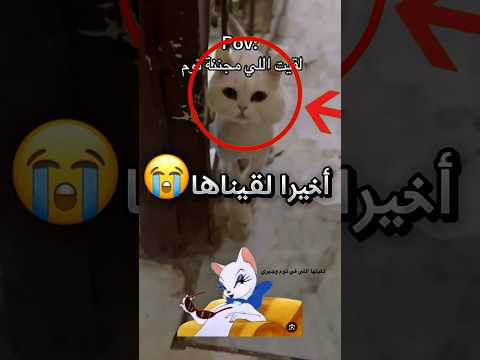لقى القطوة البيضاء تبع كرتون توم وجيري شوفوا كيف قاعدة تسوي بالأخير !! 😭 (صدمة) #youtubeshorts