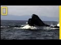Bycatch and Fisheries Management Issues