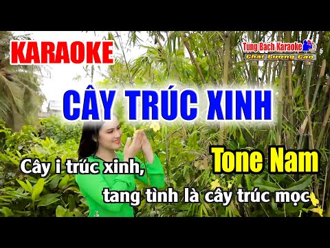 Cây Trúc Xinh || Karaoke Tone Nam – Nhạc Sống Tùng Bách