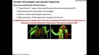 video-Lecture 9 (ver2)- Slide (164-181-END) - Biotechnology