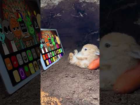 Bunny Watching Sprunki incredibox Squid Game 2