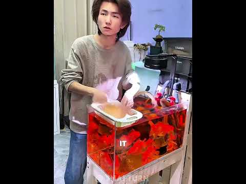 He Accidentally Discovered a Genius <strong>Fish</strong> Tank Cleaning Trick! 😱