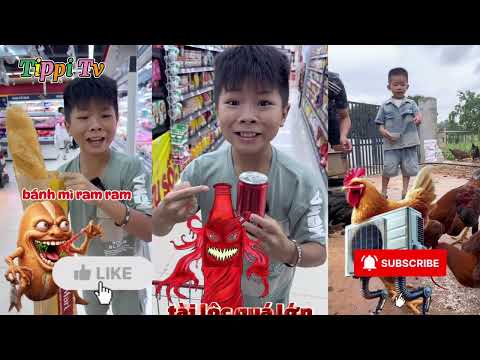 Tổng Hợp Các Video Hay Nhất Kênh Tippi Tv Phần 4 - Tippi Tv #tippitv