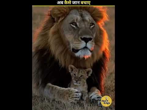 Don't do this Mistakes 🤔#shorts #facts