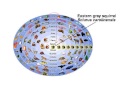 Classification of Living Organisms