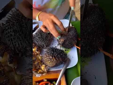 ⚡⚡Puffer Fish అస్సలు తినరు |⚡Interesting Facts