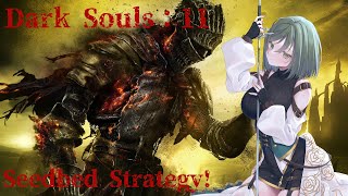 Dark Souls #11 :苗床攻略戦