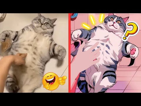 Funny Cat Videos🤣Drawing Cats Meme Compilation🤣Try Not To Laugh Impossible Clean🤣Funny Animal Videos