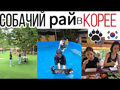 Выходной день с детьми / Учим Мишу плавать / KOREA VLOG