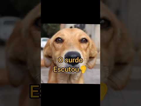 que história é essa caramelo?🤨 #comédia #memes