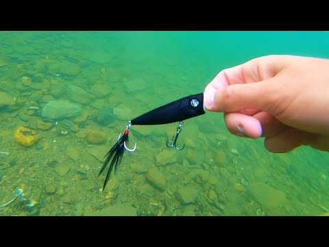I caught my SECOND BIGGEST EVER!! (CLEAR WATER GIANT)