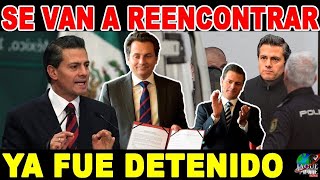 YA ATORARON A PEÑA! TENÍA CENTRO DE ESPIONAJE EN CASA DE SALINAS! TIEMBLA DE MIEDO
