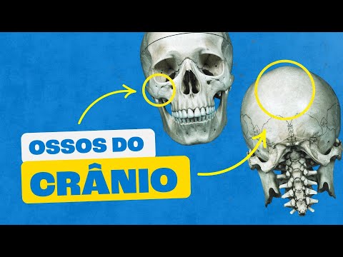 Conheça os Ossos do Crânio: Estrutura e Função