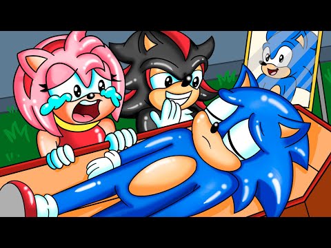 Sonic Please Wake Up!!! | Sonic The Hedgehog 3 Animation