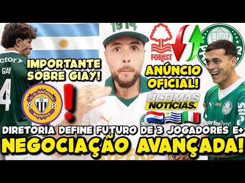 image para ilustrar o artigo