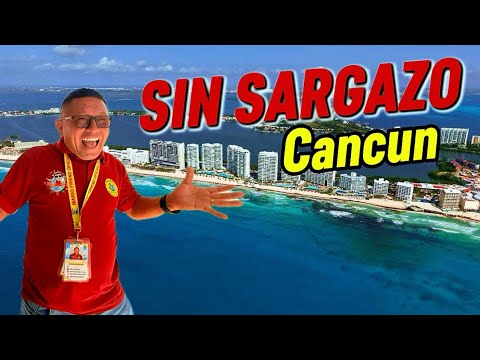 23 DE JUNIO 🚫 CANCÚN / SIN SARGAZO 😬