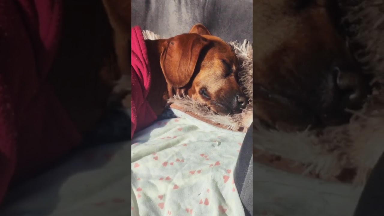 Como utilizar o terminal integrado do Visual Studio Code | Bruno Brito