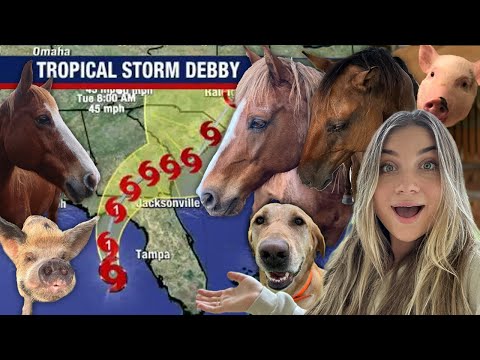 Preparing For HURRICANE DEBBY With All My Pets!