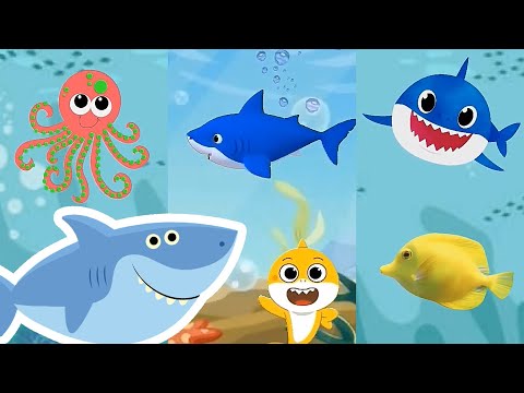 Adventure Baby Shark and Animals Sea dance at Ocean | Kids song Nursery rhymes toddlers