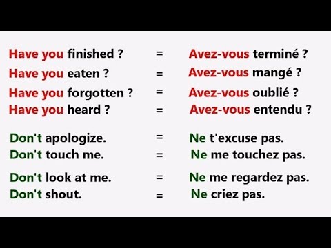 Phrases simples pour apprendre l'anglais facilement |✪✪easy sentences to learn french 🌿