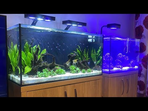 My new saltwater aquarium This is an in depth video of my newly setup marine tank please feel free to ask any questions in the