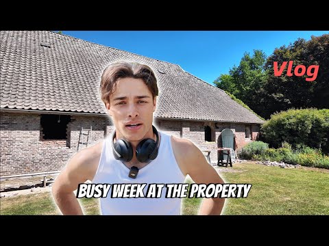 Exciting Barn Changes, My Young Stallion’s Progress & a New Arrival!