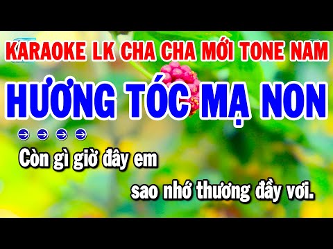 Karaoke Liên Khúc Nhạc Sống Cha Cha Tone Nam | Hương Tóc Mạ Non – Tình Nhỏ Mau Quên | Thanh Hải