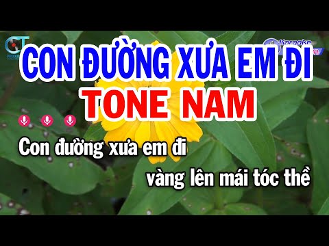 Karaoke Con Đường Xưa Em Đi Tone Nam Bm | Nhạc Sống Hay Nhất || Karaoke Đồng Sen